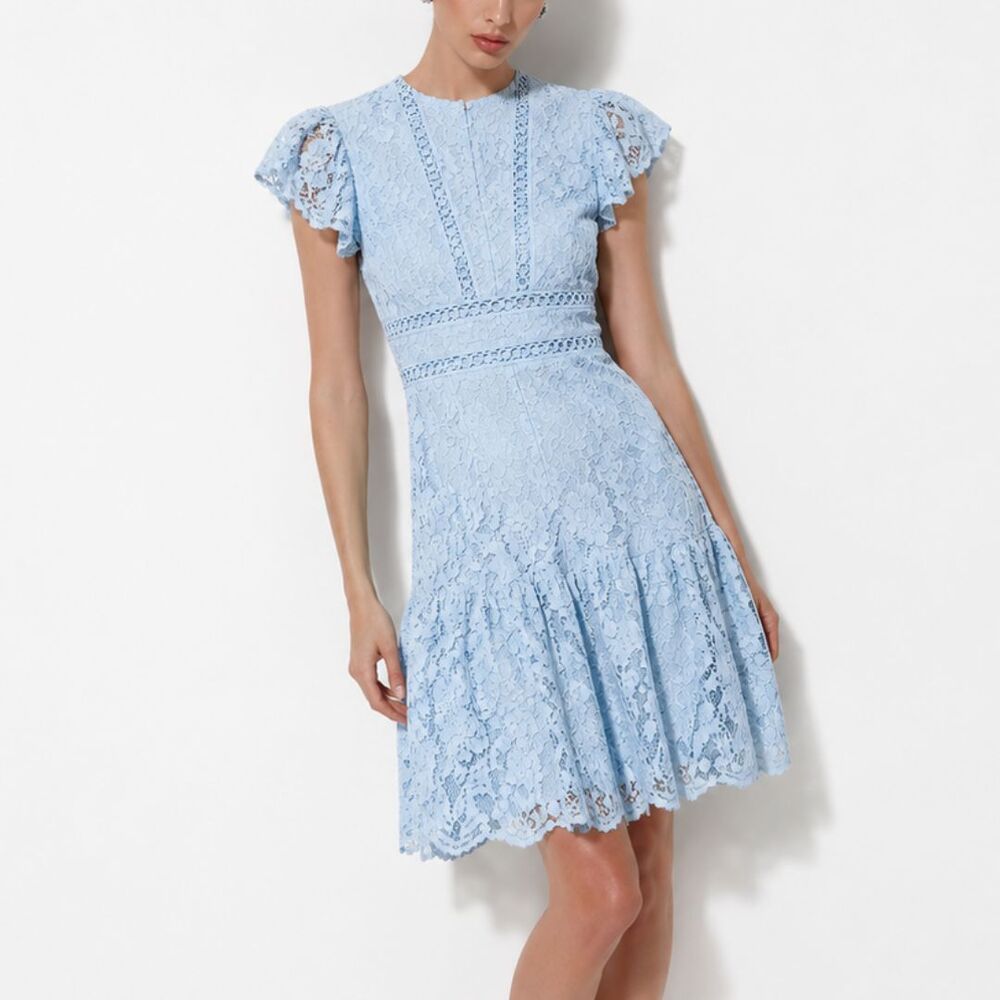 Nanette Lepore Light Blue Lace Dress Size 4 Flutter Sleeve A Line Flare Romantic
